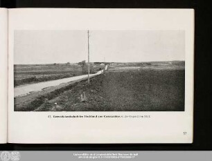 57. Getreidelandschaft im Hochland von Constantine,