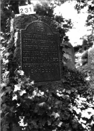 Grabstein 231 (Index: 100085042) Maße HxBxT: 145x59x31 cm Beschreibung: Stele, Segmentbogenabschl. , Schriftplatten mit eingezog. Segmentbogenabschlüssen: Grabstein 231
