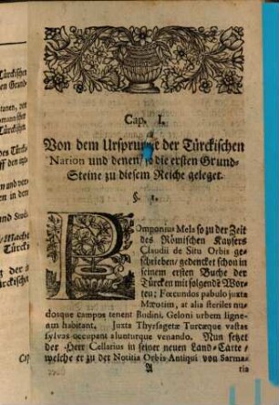 Der Staat von Türckey