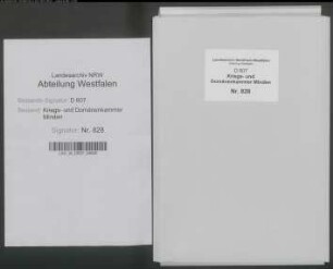 Amt Reineberg - Vogtei Gehlenbeck - Bauerschaft Nettelstedt: Unterlagen der Revisionskommission - Band 2