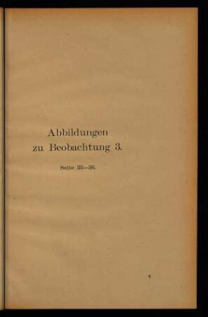6r-8v, Abbildungen zu Beobachtung 3., Seite 33-36