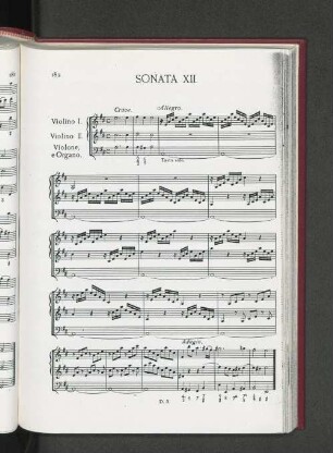 Sonata XII.