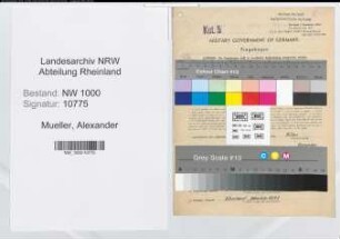 Entnazifizierung Alexander Mueller, geb. 06.08.1907 (Betriebsleiter)