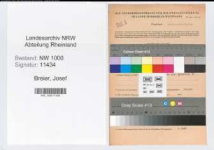 Entnazifizierung Josef Breier, geb. 01.04.1895 (Anstreicher)