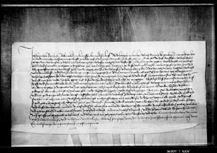Hans von Bernhausen, dem Graf Ulrich V. Bittenfeld, Riezhofen, Burg und Dorf Neckarrems und Dorf Neckargröningen verkauft hat, bekennt, daß die Herrschaft sich den Wiederkauf vorbehalten hat.