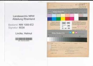 Entnazifizierung Helmut Lincke, geb. 03.12.1916 (Kaufm.Angest.)