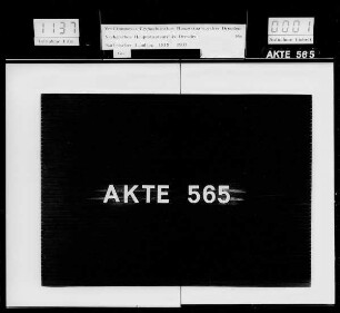 Nachträge zum Staatshaushaltsplan und Finanzgesetz auf das Jahr 1920