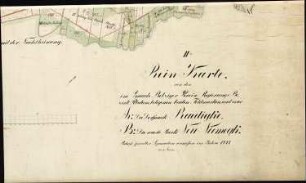 II. Reinkarte von den beiden Feldmarken und zwar A - Die Dorfmark Rädigke ["Raedigke"] und B - Die Wüste Mark Neu Niemegk (4 Teile)
