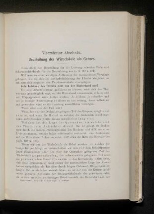 Vierzehnter Abschnitt. Beurteilung der Wirbelsäule als Ganzes.