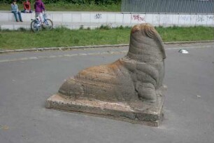 Zwei Seelöwen