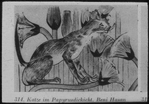 Beni Hasan, Katze im Papyrusdickicht