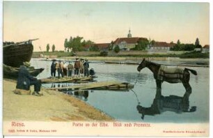 Riesa. Elbblick nach Promnitz - Pferdewäsche