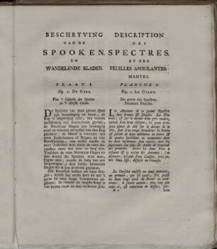 Beschryving van de SPOOKEN.