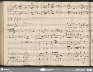Cavatina: "Siete pur caro siete pur bello"