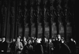Freiburg: Am Münster