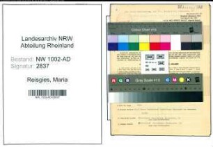 Entnazifizierung Maria Reisgies, geb. 17.11.1909 (Angest.)