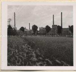 Rostock, Aktien-Zuckerfabrik