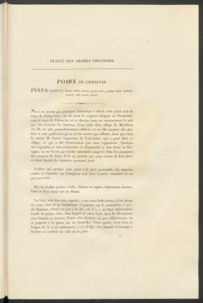 Poire De Chènevin. Pyrus Depicta ...