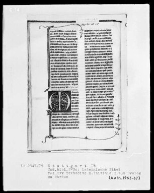 Lateinische Bibel, drei Bände — Initiale M, Folio 21verso