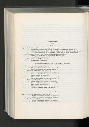 Tafel-Erklärung.