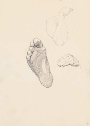 Hand- und Fußstudien: Perspektivische Ansichten (aus: Skizzenalbum 6)
