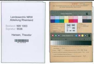 Entnazifizierung Theodor Hansen , geb. 10.04.1910 ()