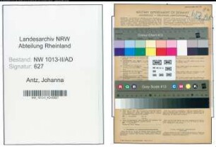 Entnazifizierung Johanna Antz , geb. 20.03.1920 (Stadtaerztin)