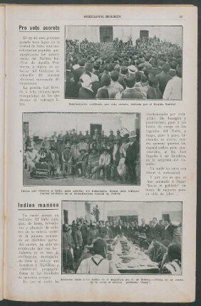 Indios mansos