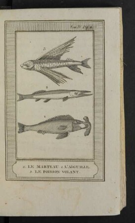 Tafel: 1. Le marteau. 2. L'aiguille. 3. Le poisson volant.