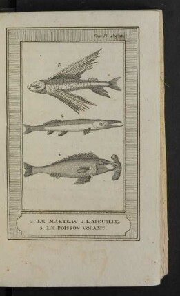 Tafel: 1. Le marteau. 2. L'aiguille. 3. Le poisson volant.