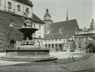 Dessau, Brunnen auf dem Schlosshof