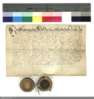 Lehenbrief des Placidus [von Droste], Abt von Fulda, für Johann Reinhard von Hornberg über die Wüstung Niedlingen und weitere im Einzelnen aufgeführte Lehen
