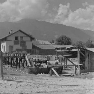 Wasserstelle in der Ortschaft. Öffentlicher Wäscheplatz in Bansko