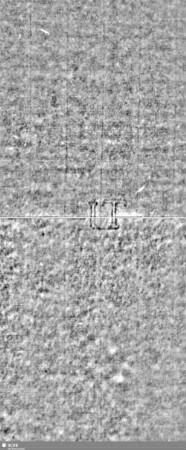Lilie / Tj = S.15/16