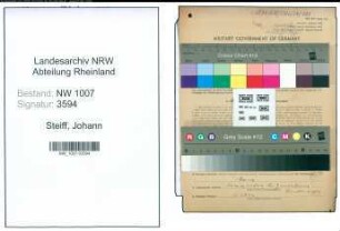 Entnazifizierung Johann Steiff , geb. 14.06.1914 (Arzt)