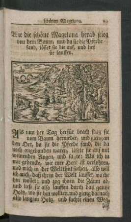 Wie die schöne Magelona herab stieg ...