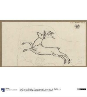 Ein springender Hirsch