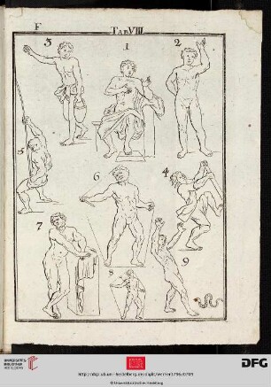 Tab. VIII [Männl. Akte (Bewegungsstudien)]