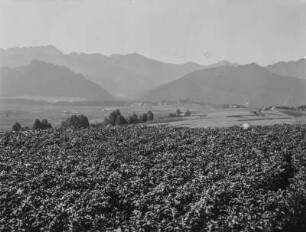 Landschaft : Blick über eine Landschaft mit einem Feld im Vordergrund und Bergen im Hintergrund