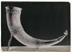 Trinkhorn