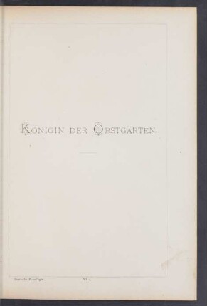 VI. 7. Königin der Obstgärten