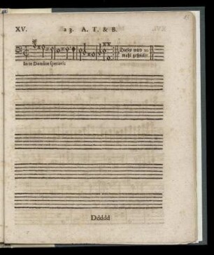 XV In te Domine speravi (a 3. Alto, Tenore & Basso)