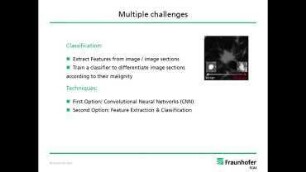 Automated lung tumor diagnosis in medical image data - methods, challenges and perspectives