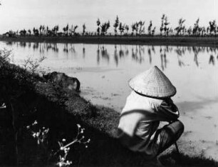 Vietnam. Mann mit Reisstrohhut hütet einen Wasserbüffel am Ufer eines Flusses