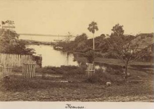 Manaus, Rio Amazonas