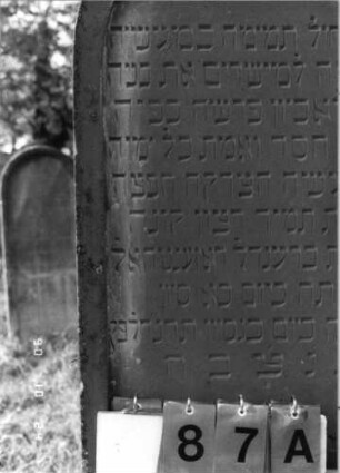 Grabstein 87 (Index: 100116240) Material: Sandstein Zustand: gut Maße HxBxT: 156x55x25 cm Beschreibung: doppelt aufgesockelte Stele mit Rundbogenabschluß und eingetieftem Schriftfeld, weiteres Schriftfeld auf dem Sockel: Grabstein 87A (Nachholaufnahme)