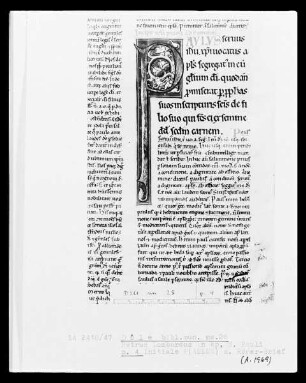 Petrus Lombardus, Commentarius in epistolas Sancti Pauli: Initiale P