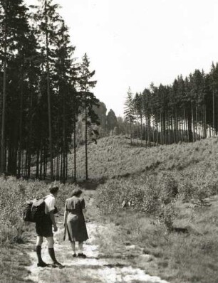 Sächsische Schweiz. Affensteine. Wanderer im Hinteren Bösen Grund. Blick nach S auf Rokokotürme und Wilden Kopf