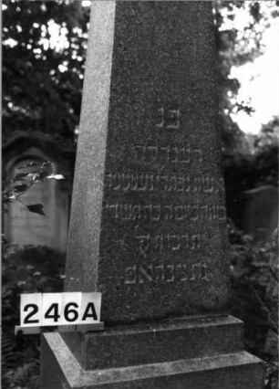 Grabstein 246 (Index: 100085069) Maße HxBxT: 255x60x56 cm Beschreibung: Obelisk, getreppter Sockel: Grabstein 246A (Nachholaufnahme)