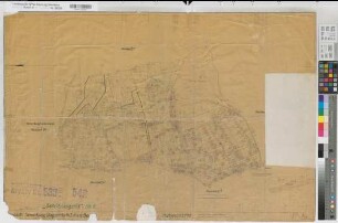Dingden (Hamminkeln), Flurbereinigung Dingden, Bl.6 Schätzungsriß Planbl.C